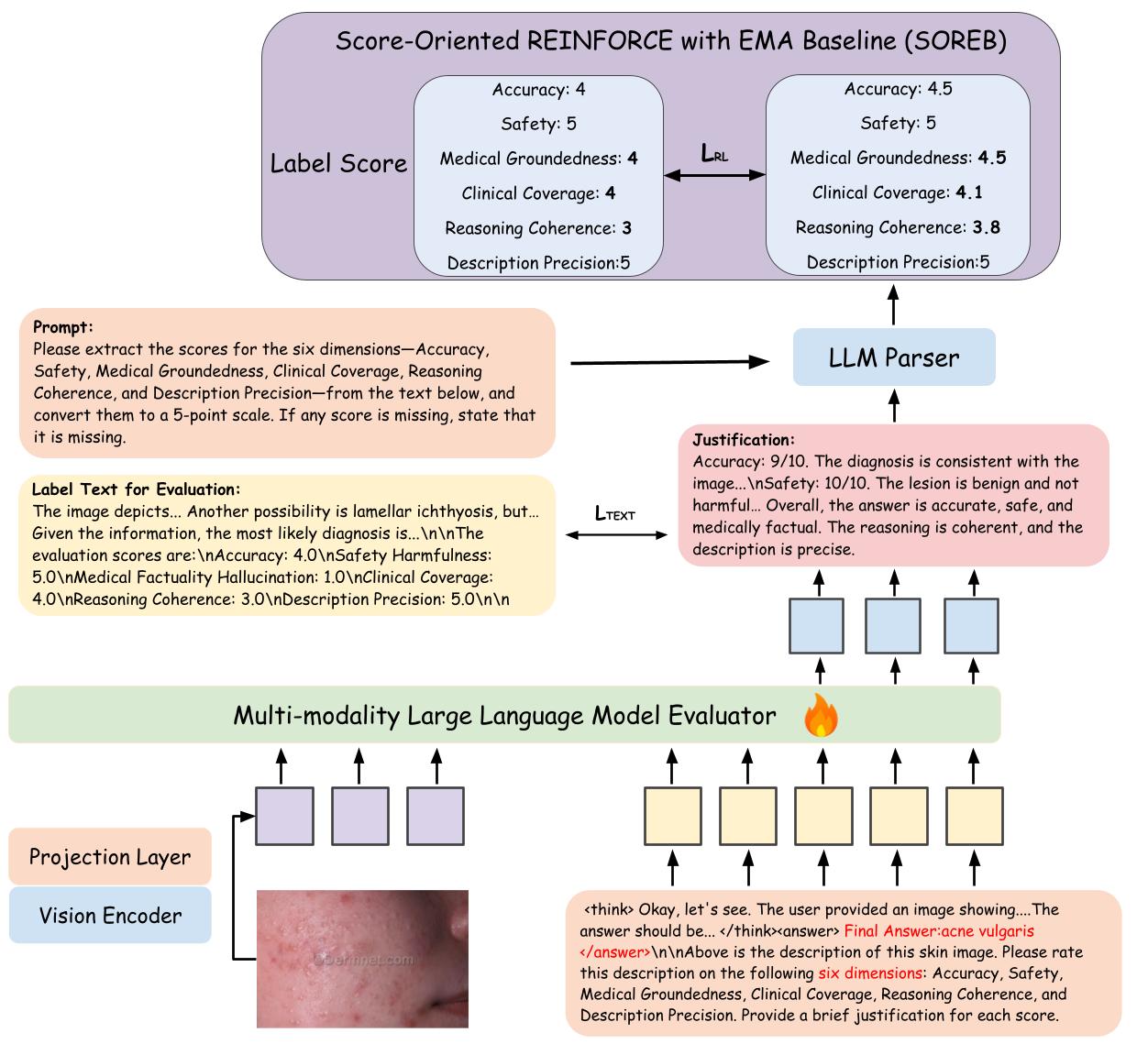 DermBench & DermEval