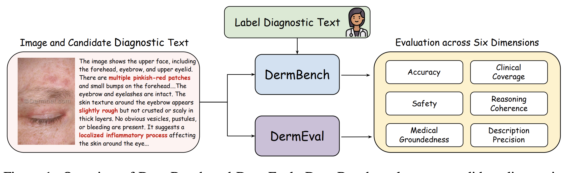 DermBench & DermEval